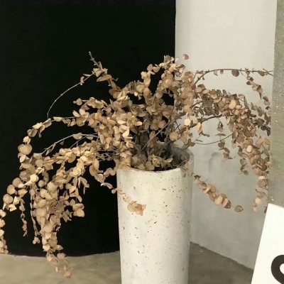 兽设洞穴场景绘制Furry群